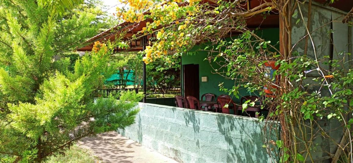 Green Hills Farm And Guest House Masinagudi Exteriér fotografie